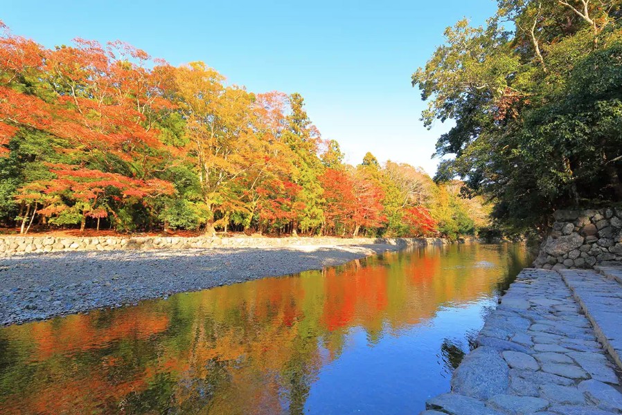 秋（紅葉シーズン）の見どころ