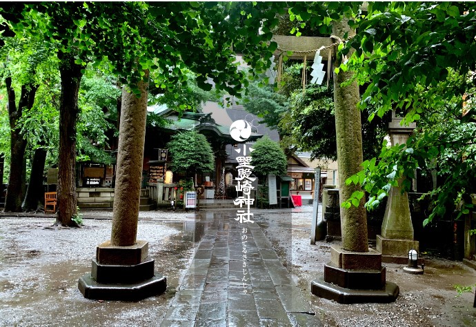 小野照崎神社のスピリチュアルとは？ご利益や神様の力を解説