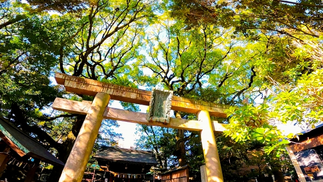 ご利益は本当にあるのかを検証