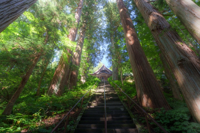 戸隠神社とは？なぜ「不思議体験」が多いのか