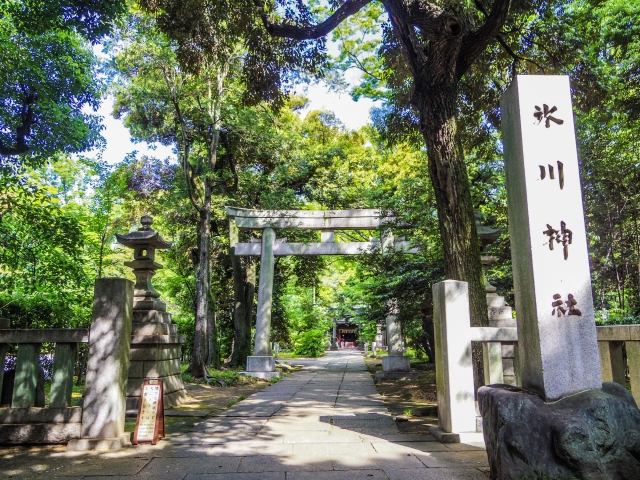 赤坂氷川神社の縁結び効果を最大化する方法