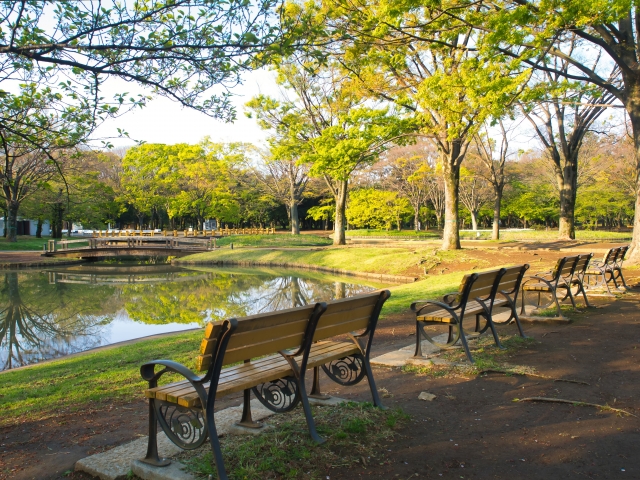 隣接する都会のオアシス「代々木公園」