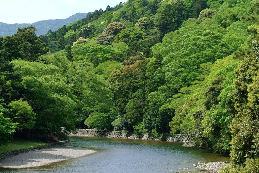 夏（新緑・早朝参拝）のメリット