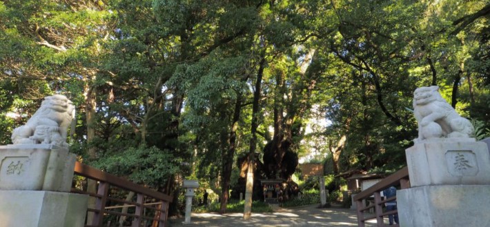 来宮神社のお守りの種類と選び方｜自分に合うご利益を見つける