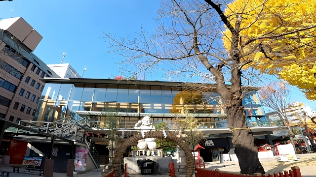 文化交流館EDOCCOの存在