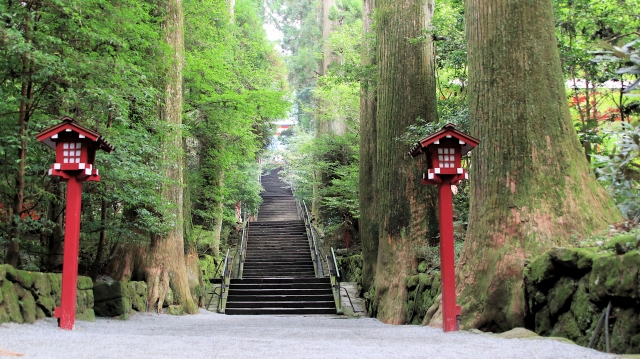 九頭龍神社で効果があるご利益と人気のお守りは？