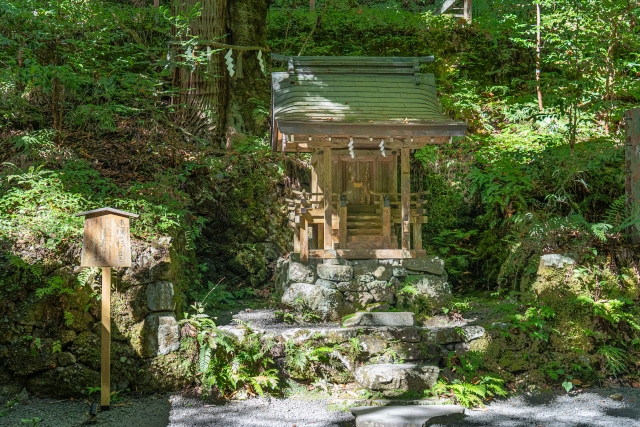 体調が万全でない時