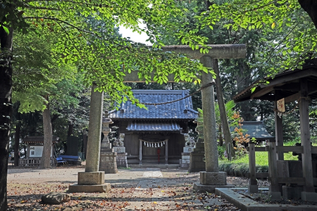 氷川神社で授与される運勢の特徴