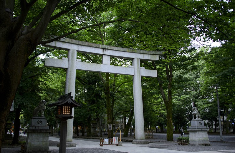 本殿・御神木・摂社の見どころ