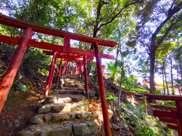 千本鳥居の見どころ